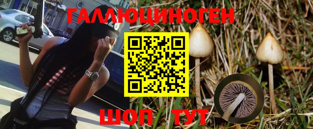 Галлюциногенные грибы MAGIC MUSHROOMS  Галлюциногенные грибы Cubensis  Мариинск  Вход с VPN 