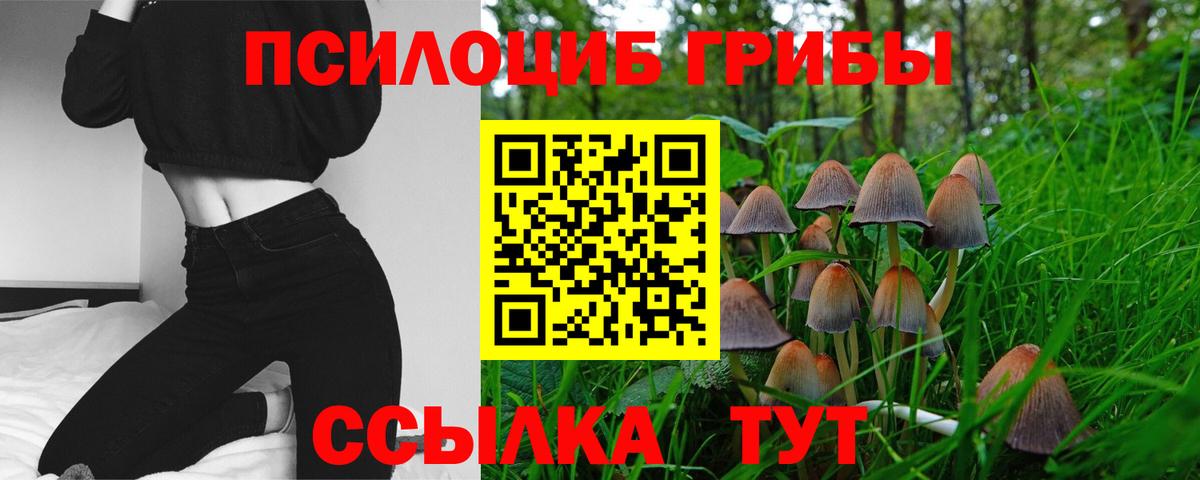 Псилоцибиновые грибы мухоморы Мариинск
